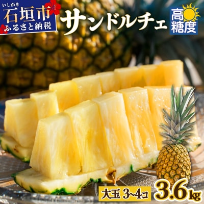 【先行受付】《2025年夏季 順次発送》サンドルチェ大玉3～4個 計3.6kg