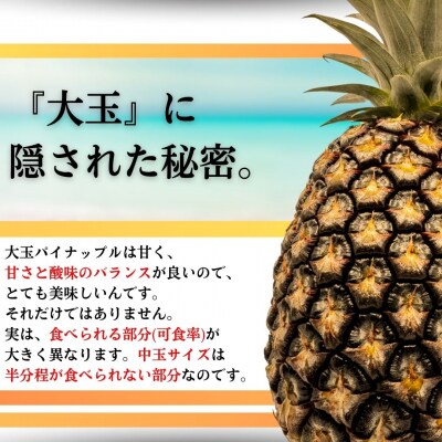 【先行受付】《2025年夏季 順次発送》サンドルチェ大玉3～4個 計3.6kg