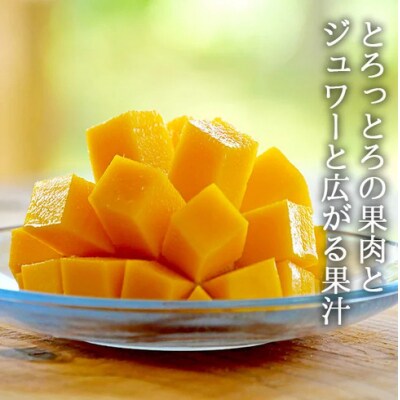 【先行受付】《2025年7月～8月中旬順次発送》訳あり 沖縄マンゴー(石垣島産)3kg