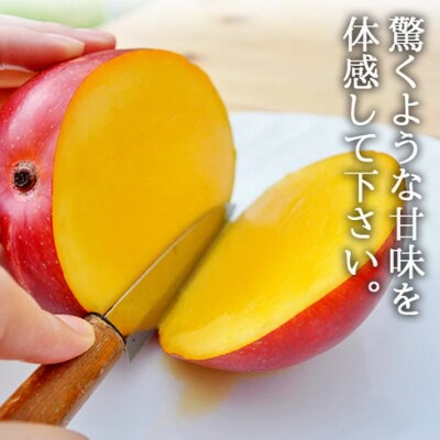 【先行受付】《2025年7月～8月中旬順次発送》訳あり 沖縄マンゴー(石垣島産)3kg