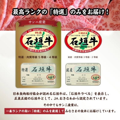 石垣牛 ハンバーグ セット (100g×10個)<ご入金確認後1ヶ月程度で発送>
