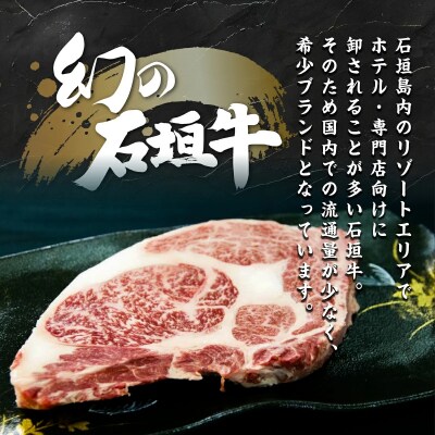 石垣牛 ハンバーグ セット (100g×10個)<ご入金確認後1ヶ月程度で発送>
