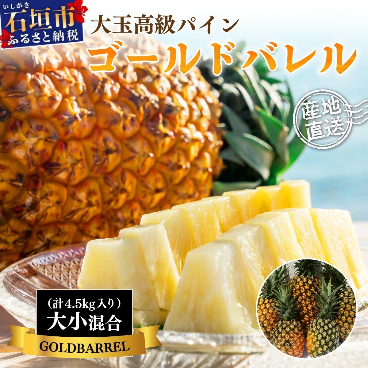 【訳あり】石垣島産 ゴールドバレルパイン 大小混合セット 約4.5kg