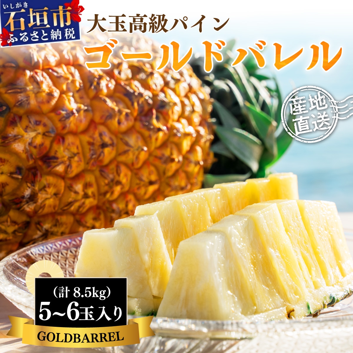 【先行受付】《2025年夏季 順次発送》石垣島産・ゴールドバレルパイン 大玉5～6個入り