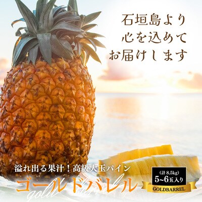 【先行受付】石垣島産 ゴールドバレルパイン 大玉5～6個入り 約8.5kg<2026年7月以降発送>