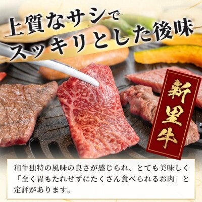 石垣島産 黒毛和牛 新里牛 カルビ系焼肉用 (300g×2) 合計600g