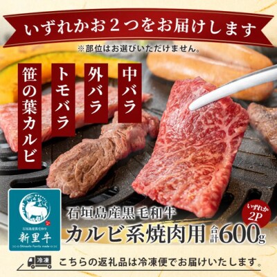 石垣島産 黒毛和牛 新里牛 カルビ系焼肉用 (300g×2) 合計600g