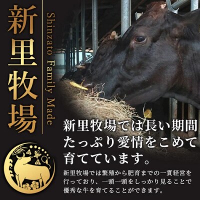 石垣島産 黒毛和牛 新里牛 カルビ系焼肉用 (300g×2) 合計600g