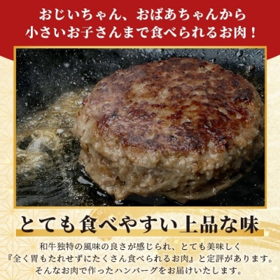 石垣島産 黒毛和牛 新里牛 職人手ごね生ハンバーグ (150g×6) 合計900g