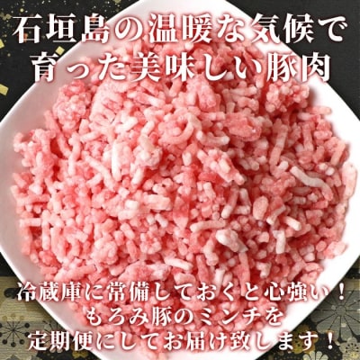 【3回定期便】【石垣島ブランド豚】もろみ豚 豚ミンチ 250g×15袋 合計3.75kg