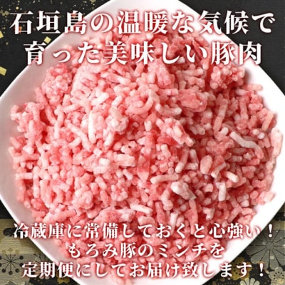 【5回定期便】【石垣島ブランド豚】もろみ豚 豚ミンチ 250g×25袋 合計6.25kg