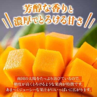 【2025年発送 先行受付】石垣島のマンゴー 2kg 3～5玉