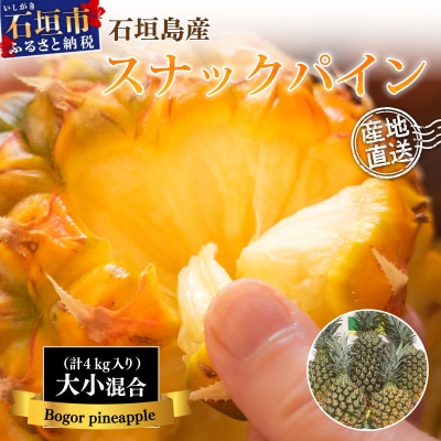 【訳あり】石垣島産・スナックパイン 訳ありの大小混合セット