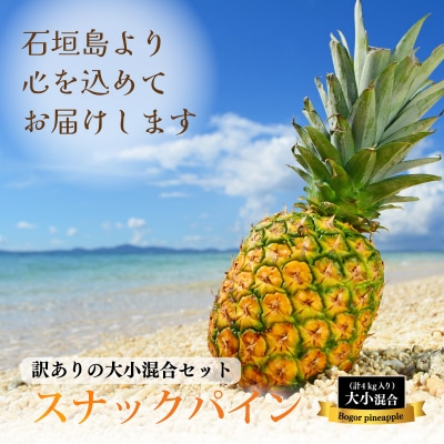 【先行受付】【訳あり】《2025年夏季 順次発送》石垣島産・スナックパイン 訳ありの大小混合セット