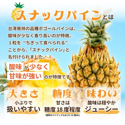 【先行受付】《2025年夏季 順次発送》石垣島産・スナックパイン、ずっしりの「大玉」2個入り