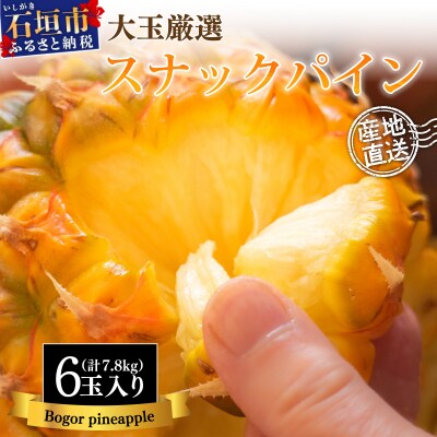 【先行受付】《2025年夏季 順次発送》石垣島産・スナックパイン、ずっしりの「大玉」6個入り