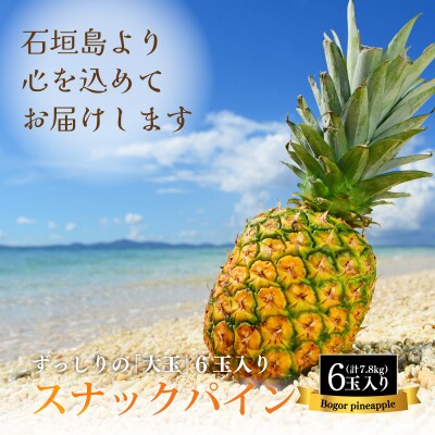 【先行受付】《2025年夏季 順次発送》石垣島産・スナックパイン、ずっしりの「大玉」6個入り