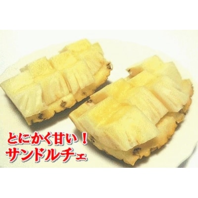 【先行受付】《2025年夏季 順次発送》【訳あり】石垣島産 サンドルチェパイン 約3.5～4kg