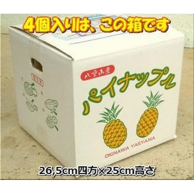【先行受付】《2025年夏季 順次発送》【訳あり】石垣島産 サンドルチェパイン 約3.5～4kg