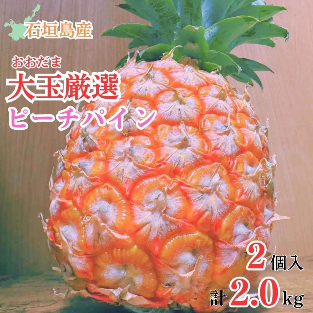 【先行受付】《2025年夏季 順次発送》石垣島産・大玉ピーチパイン 2玉 約2.0kg