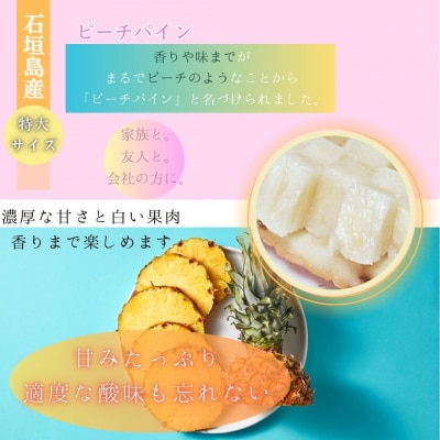 【先行受付】《2025年夏季 順次発送》石垣島産・大玉ピーチパイン 2玉 約2.0kg