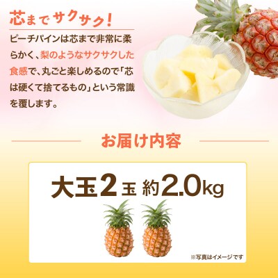 石垣島産・大玉ピーチパイン 2玉 約2.0kg 