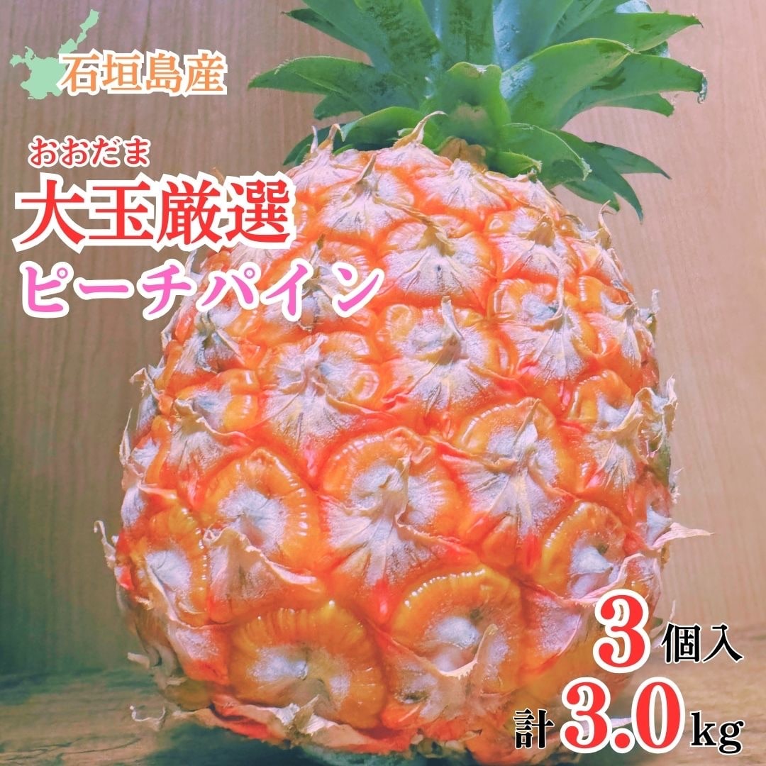 【先行受付】《2025年夏季 順次発送》石垣島産・大玉ピーチパイン 3玉 約3.0kg