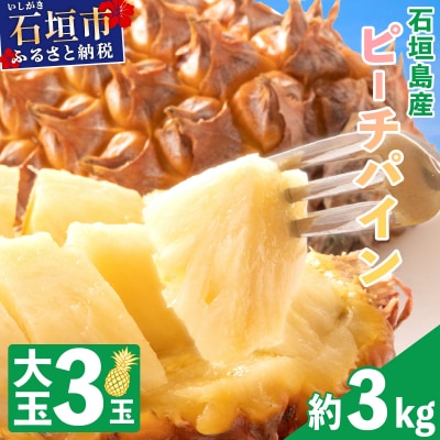 石垣島産・大玉ピーチパイン 3玉 約3.0kg 