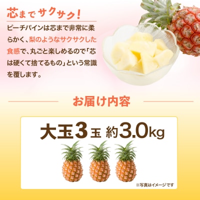石垣島産・大玉ピーチパイン 3玉 約3.0kg 