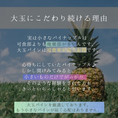 【先行受付】《2025年夏季 順次発送》石垣島産・大玉ピーチパイン 3玉 約3.0kg