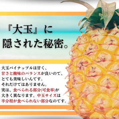 【先行受付】《2025年夏季 順次発送》夏実パイン(ハワイ種)大玉2~3個 計2.6kg