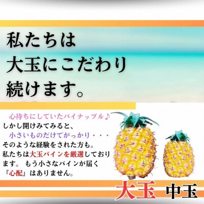 【先行受付】《2025年夏季 順次発送》夏実パイン(ハワイ種)大玉2~3個 計2.6kg