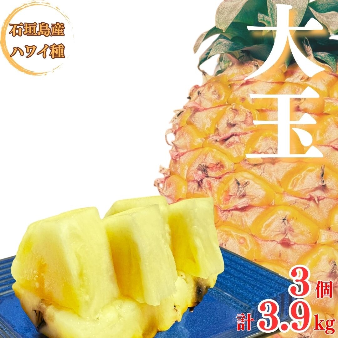 【先行受付】《2025年夏季 順次発送》夏実パイン(ハワイ種)大玉3個 計3.9kg