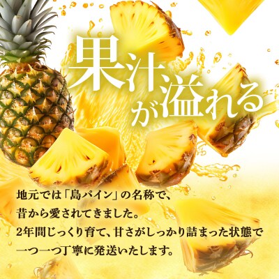 【先行予約】夏実パイン(ハワイ種)大玉3個 計3.9kg《2026年7月下旬発送》