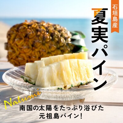 【先行受付】《2025年夏季 順次発送》夏実パイン(ハワイ種)大玉6個 計7.8kg