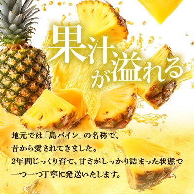 【先行予約】夏実パイン(ハワイ種)大玉6個 計7.8kg《2026年7月下旬発送》