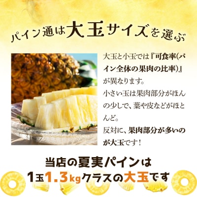 【先行予約】夏実パイン(ハワイ種)大玉6個 計7.8kg《2026年7月下旬発送》