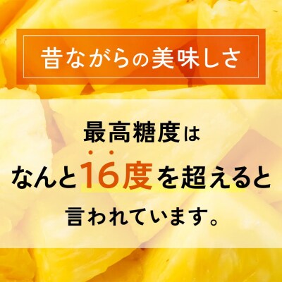 【先行受付】《2025年夏季 順次発送》夏実パイン(ハワイ種)大玉6個 計7.8kg