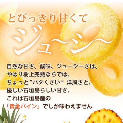 <先行予約> 石垣島産 黄金パイン 大玉 3玉 約4.5kg <2026年7月以降発送>