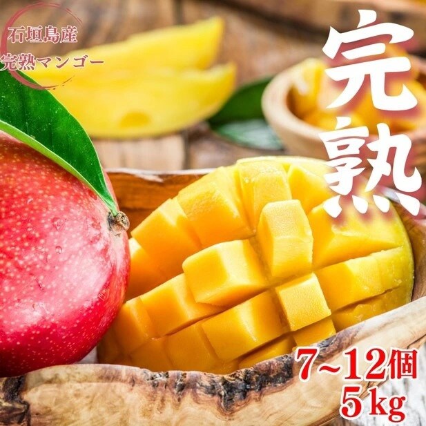 【先行受付】【石垣島産アップルマンゴー】完熟マンゴー 内容量5kg (7～12個入り)