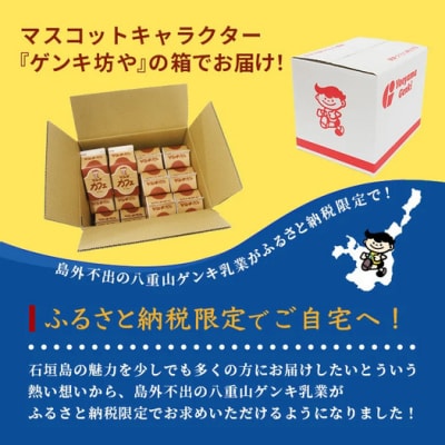 【ふるさと納税限定】ゲンキカフェバリューセット【八重山ゲンキ乳業】