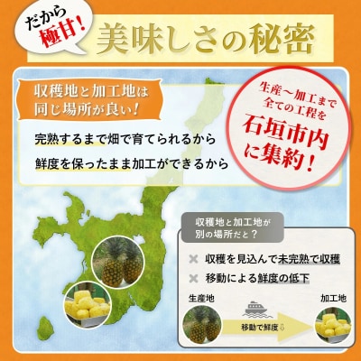 當銘さんの完熟カットパイン1.25kg(250g×5袋) ※2026年6月上旬から順次発送