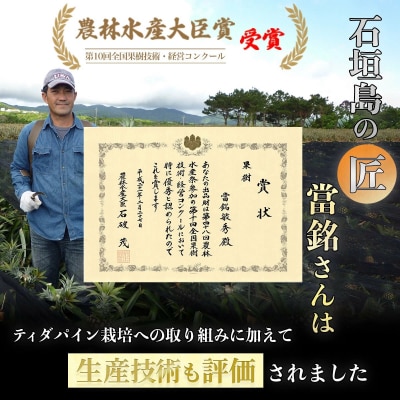 當銘さんの完熟カットパイン1.25kg(250g×5袋) ※2026年6月上旬から順次発送