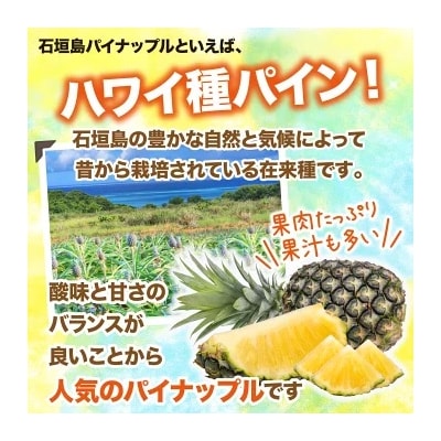 ハワイ種パイナップル4玉