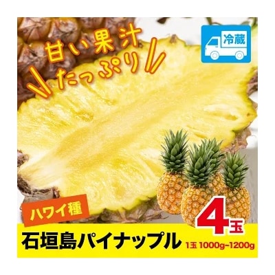 ハワイ種パイナップル4玉