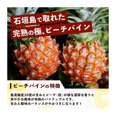 《2025年5月～7月発送》完熟の極 石垣島産ピーチパインとホワイトココの食べ比べセット