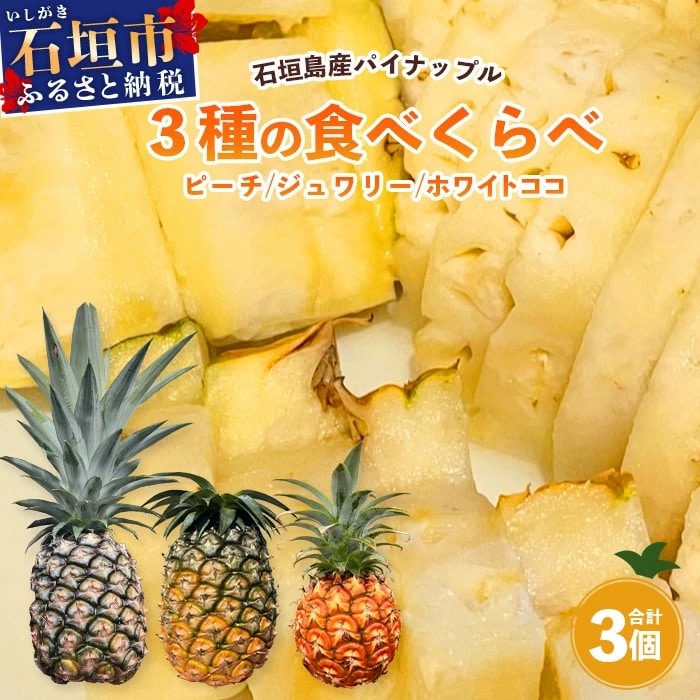 《2025年5月～7月発送》石垣島産パイナップル 大満足の 3種食べ比べセット