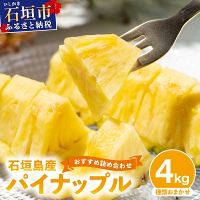 【訳あり】石垣島産 パイナップル 詰め合わせ 約4kg (3～10個)《2026年5月から順次発送》
