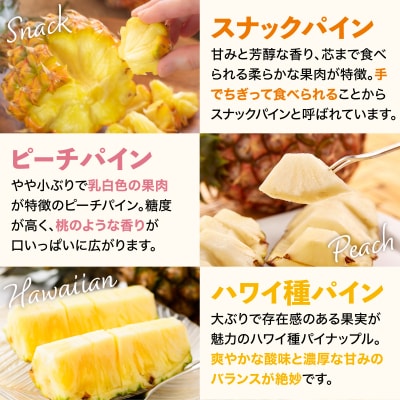 【訳あり】石垣島産 パイナップル 詰め合わせ 約4kg (3～10個)《2026年5月から順次発送》
