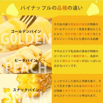 【訳あり】石垣島産パイナップル4～10個 約4kg《2025年5月から順次発送》